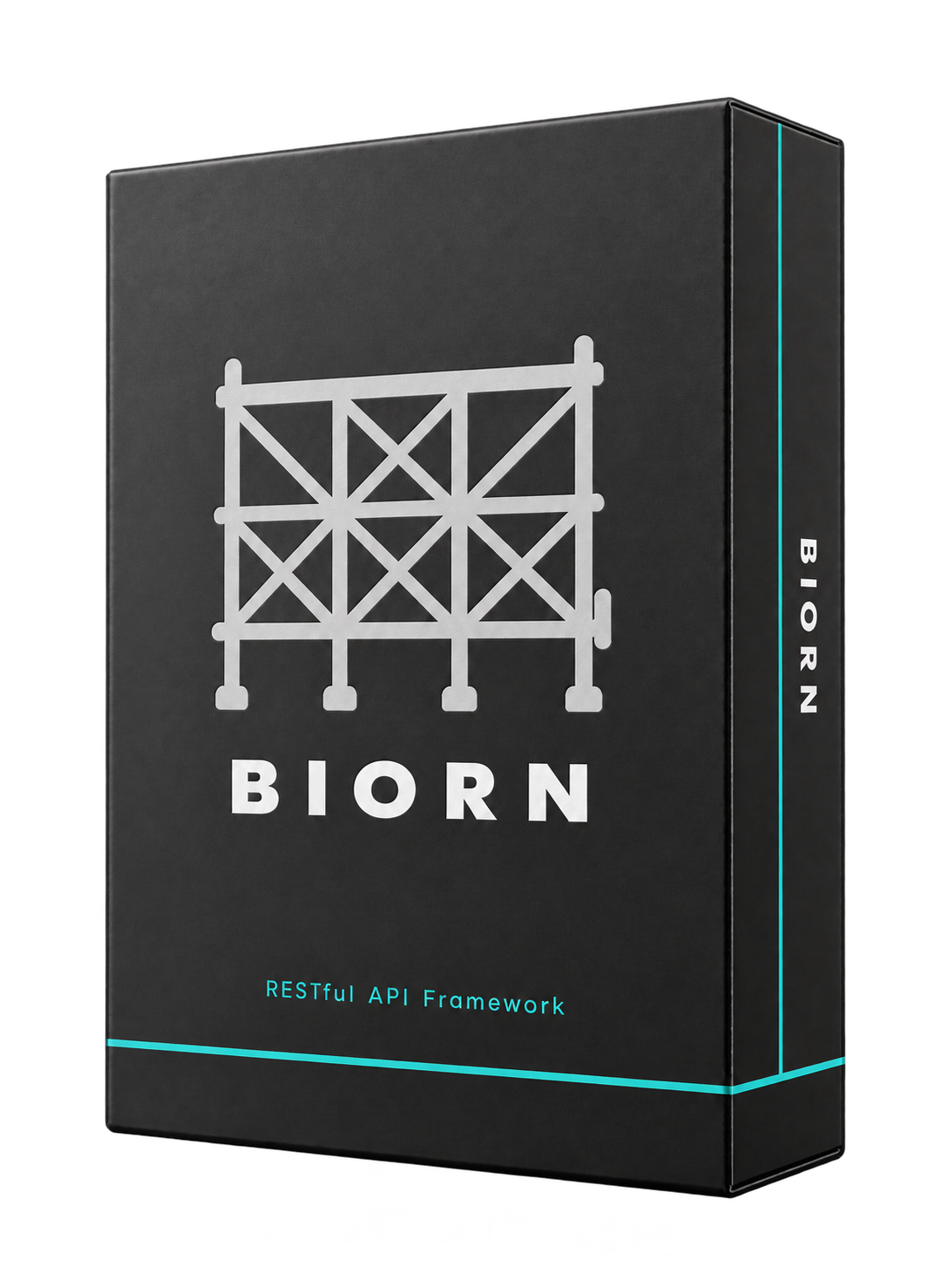 Biorn software box with its scaffolding logo and turquoise accents